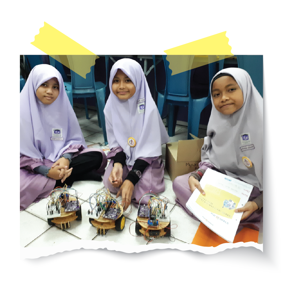 What is STEM 3