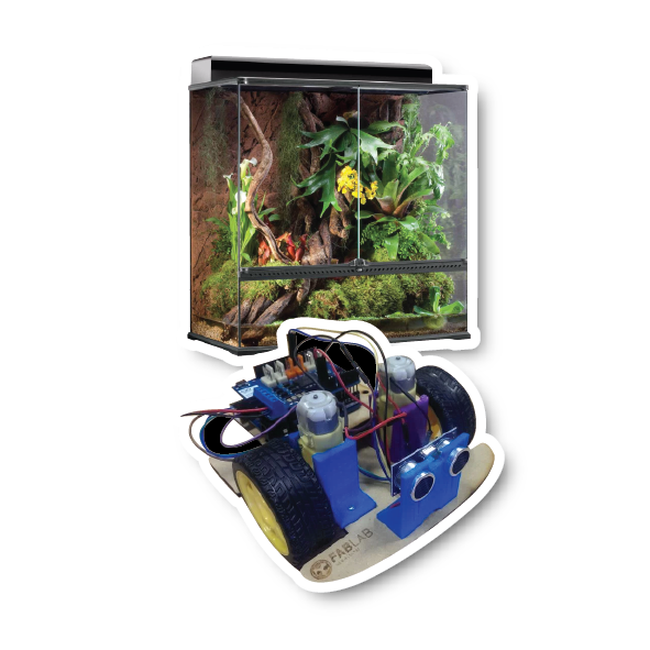 Category_Icon_Advance_PNG